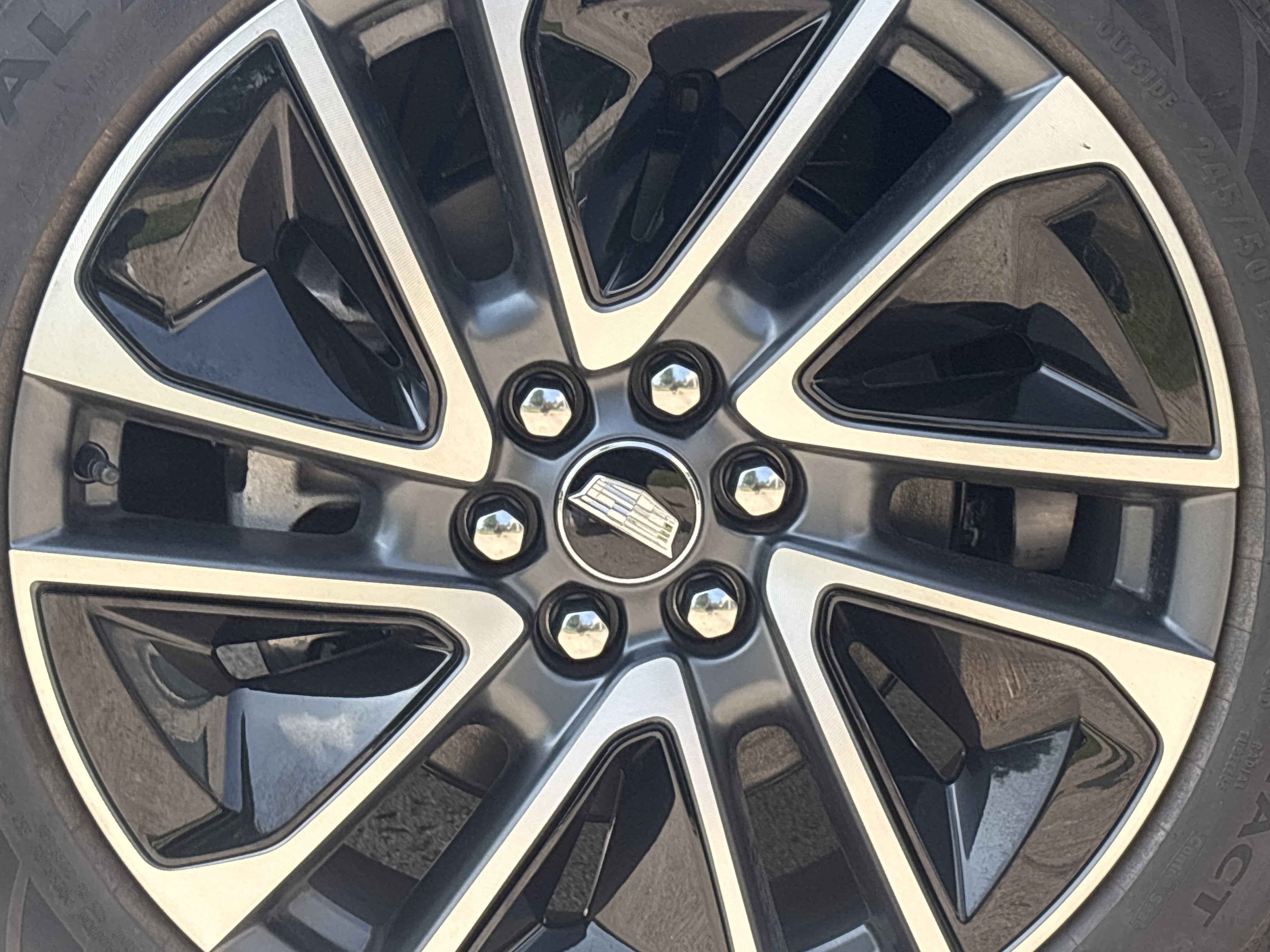 2025 Cadillac OPTIQ Sport 1